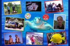 50 Jahre DTR
