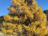 Bergsee_20