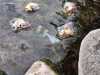 IMG-20250427-WA0036