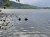 IMG-20250427-WA0040