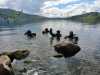 IMG-20250427-WA0044