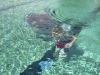dscn2284