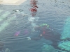 dscn2295