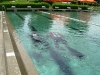 dscn2331