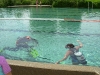 dscn2354