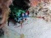K1600_IMG_8447.JPG