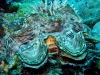 K1600_IMG_8483.JPG