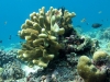 K1600_IMG_8515.JPG
