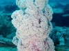 K1600_IMG_8581.JPG