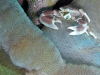 K1600_IMG_8648.JPG