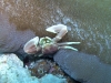 K1600_IMG_8649.JPG