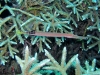 K1600_IMG_8670.JPG