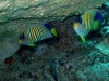 K1600_IMG_8676.JPG