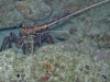 K1600_IMG_8838.JPG