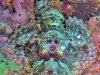 K1600_IMG_8875.JPG