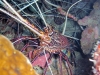 K1600_IMG_8988.JPG