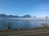 WP_20160130_10_24_41_Pro
